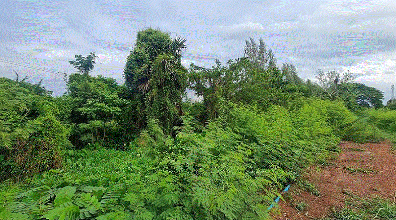 ที่ดินหลุดจำนอง ธ.ธนาคารกรุงเทพ   